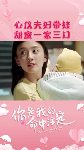 蜘蛛森林逃生